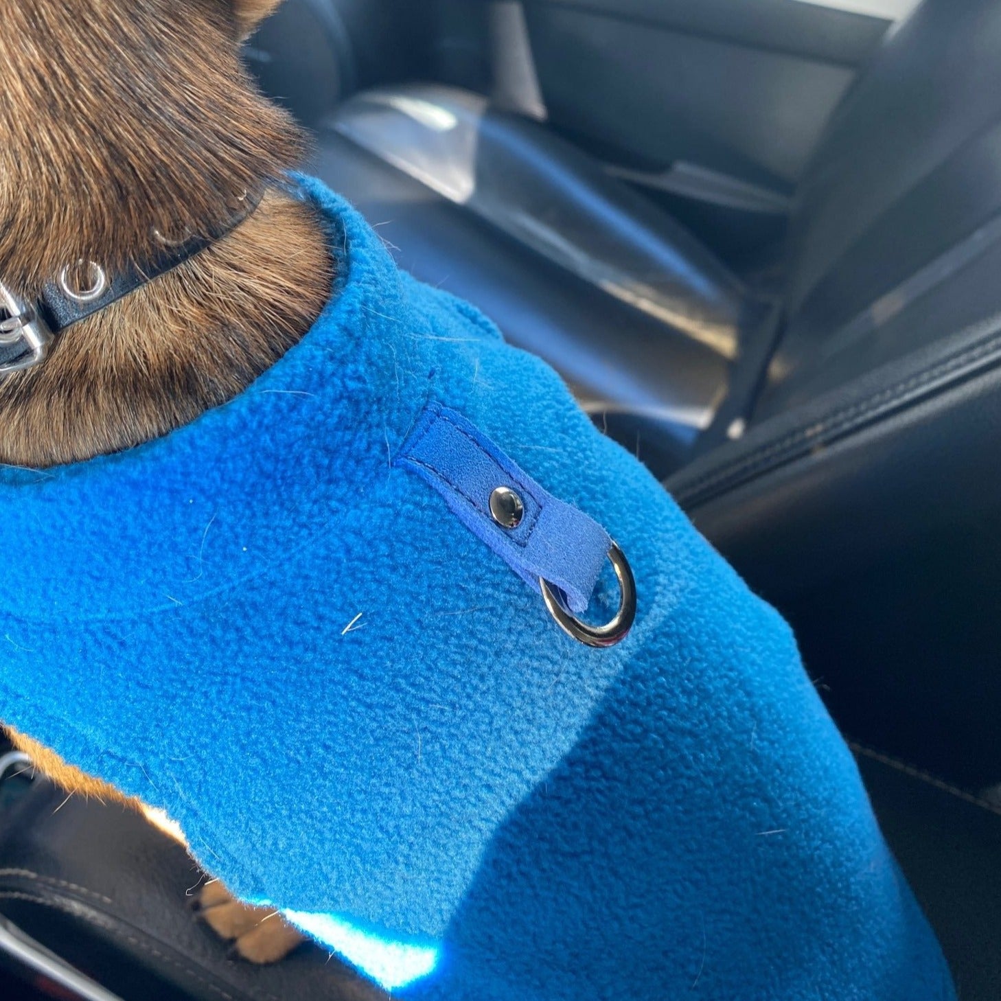 Warming Fleece Dog Coat